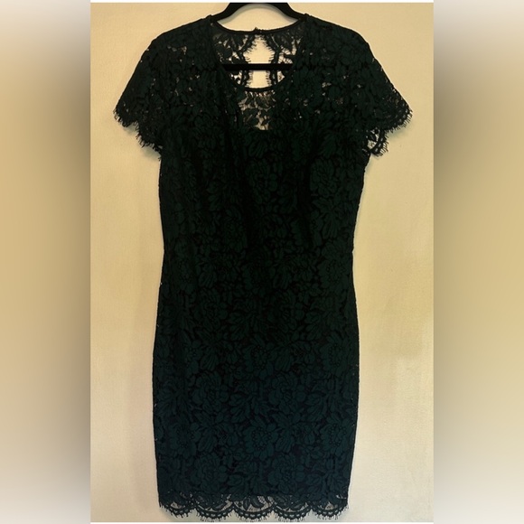 Banana Republic Hunter Green and Navy Lace Holiday Mini Dress - Picture 2 of 5